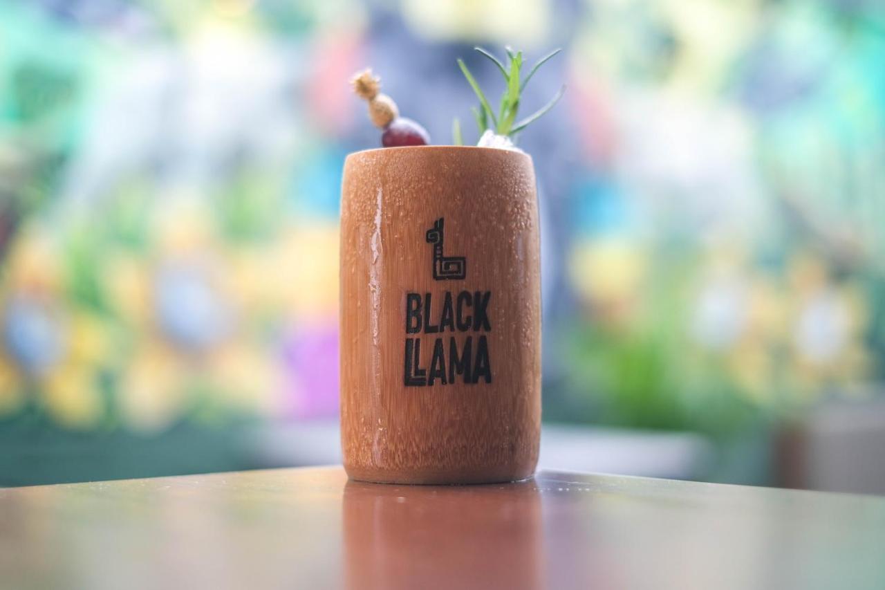 Black Llama Hostel Miraflores Лима Экстерьер фото