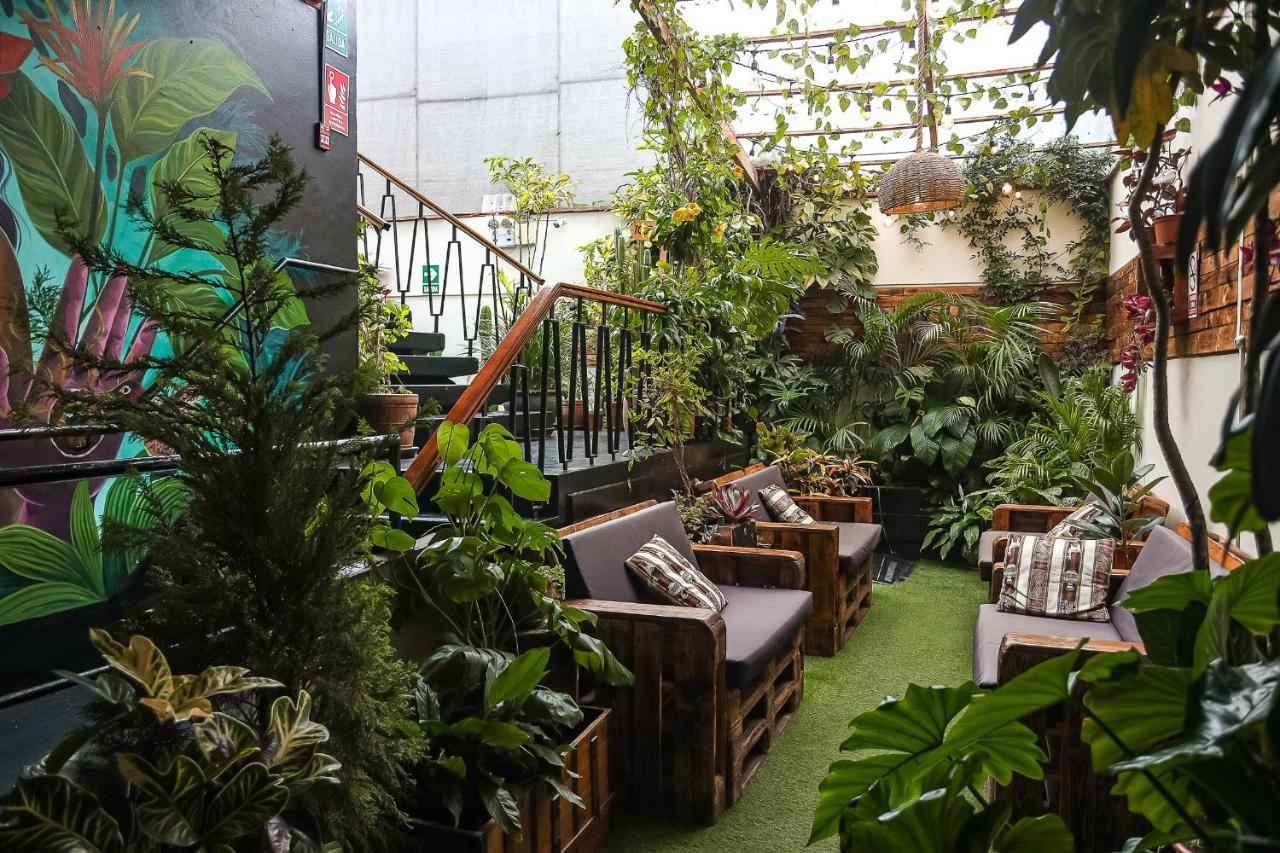 Black Llama Hostel Miraflores Лима Экстерьер фото